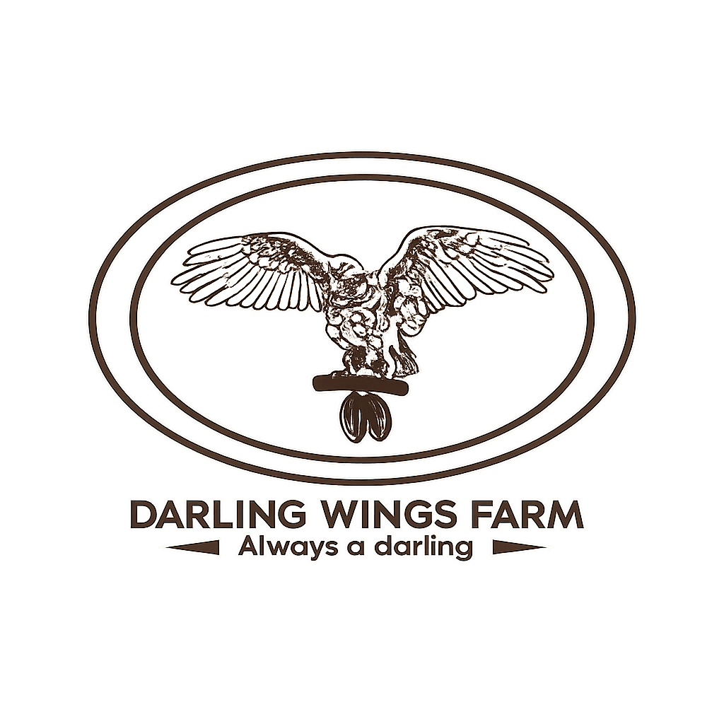 Darling Wings Chocolate