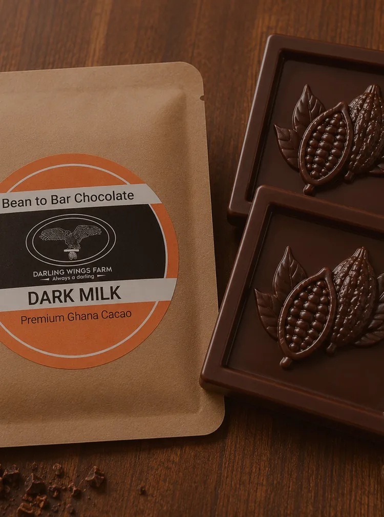 65% ダークミルクチョコレート 20g